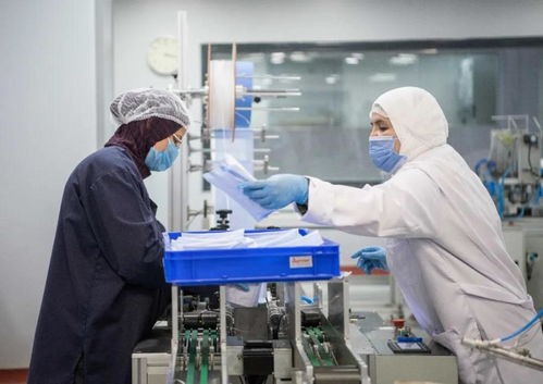 中埃攜手戰(zhàn)疫情，真情援助暖人心