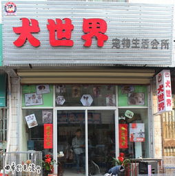 曲阜犬世界寵物生活會館 一站式寵物生活服務(wù)中心